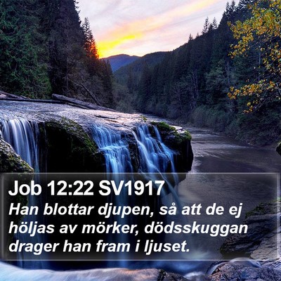 Job 12:22 SV1917 Bible Verse Image