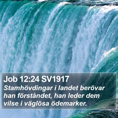 Job 12:24 SV1917 Bible Verse Image