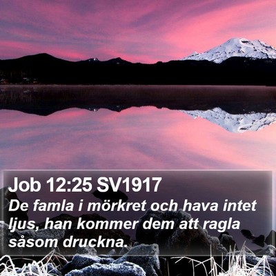 Job 12:25 SV1917 Bible Verse Image
