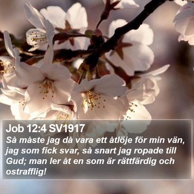Job 12:4 SV1917 Bible Verse Image