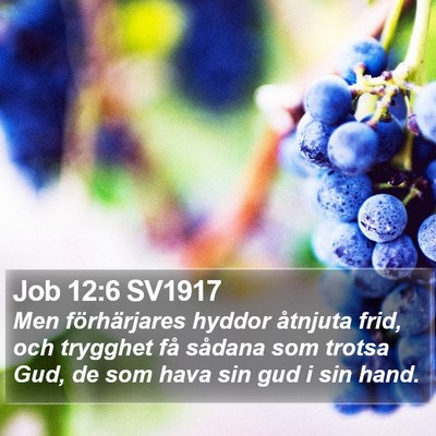 Job 12:6 SV1917 Bible Verse Image