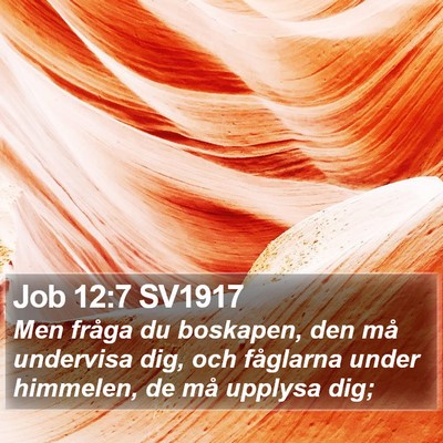 Job 12:7 SV1917 Bible Verse Image