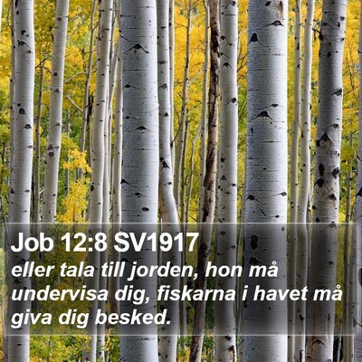Job 12:8 SV1917 Bible Verse Image