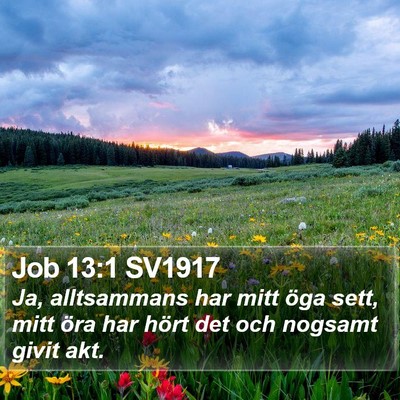 Job 13:1 SV1917 Bible Verse Image