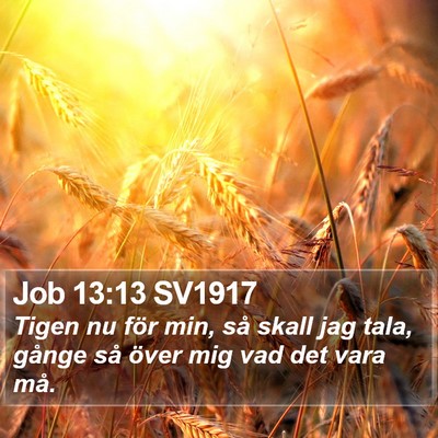Job 13:13 SV1917 Bible Verse Image