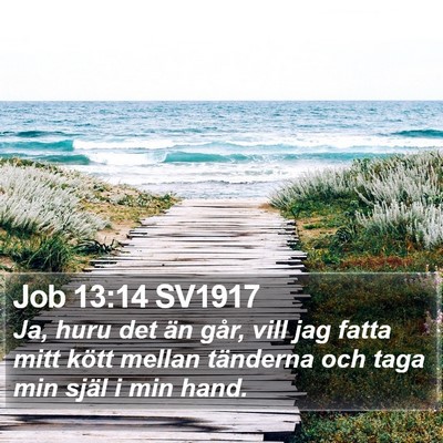 Job 13:14 SV1917 Bible Verse Image