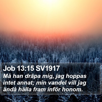 Job 13:15 SV1917 Bible Verse Image