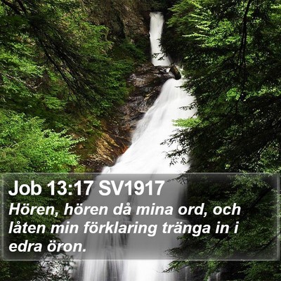 Job 13:17 SV1917 Bible Verse Image