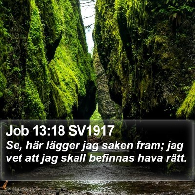 Job 13:18 SV1917 Bible Verse Image