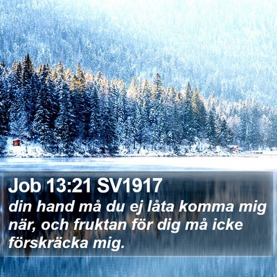 Job 13:21 SV1917 Bible Verse Image
