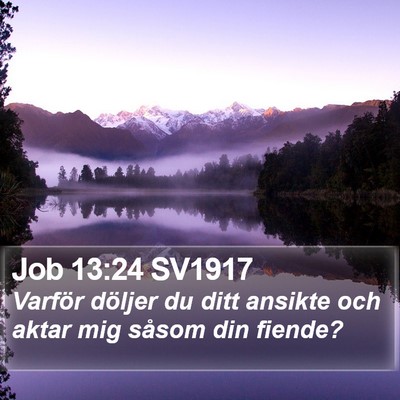 Job 13:24 SV1917 Bible Verse Image