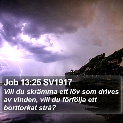 Job 13:25 SV1917 Bible Verse Image