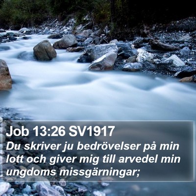 Job 13:26 SV1917 Bible Verse Image