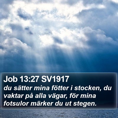 Job 13:27 SV1917 Bible Verse Image