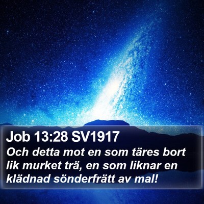 Job 13:28 SV1917 Bible Verse Image