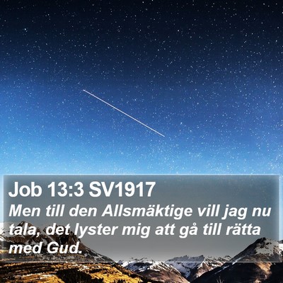 Job 13:3 SV1917 Bible Verse Image