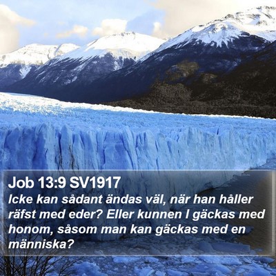 Job 13:9 SV1917 Bible Verse Image