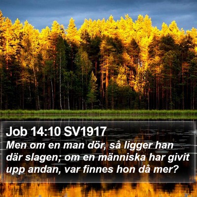 Job 14:10 SV1917 Bible Verse Image