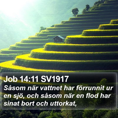 Job 14:11 SV1917 Bible Verse Image