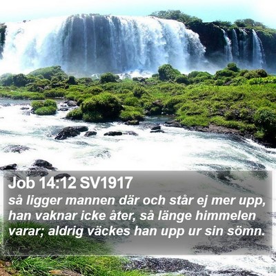 Job 14:12 SV1917 Bible Verse Image