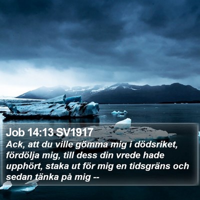 Job 14:13 SV1917 Bible Verse Image