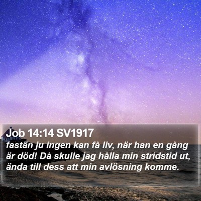 Job 14:14 SV1917 Bible Verse Image