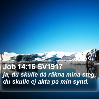 Job 14:16 SV1917 Bible Verse Image