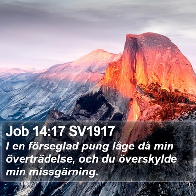 Job 14:17 SV1917 Bible Verse Image