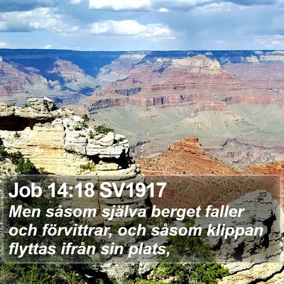 Job 14:18 SV1917 Bible Verse Image