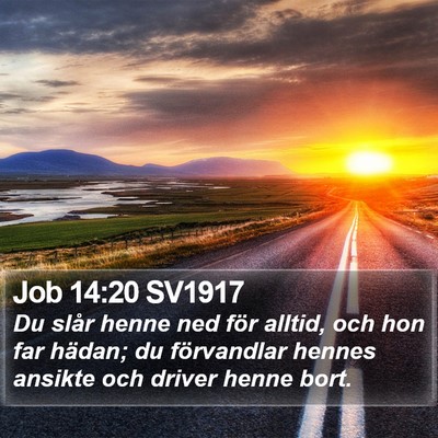 Job 14:20 SV1917 Bible Verse Image