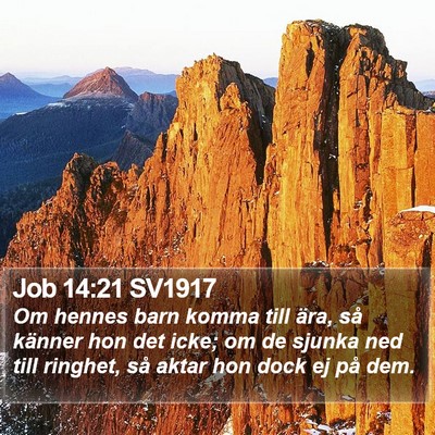 Job 14:21 SV1917 Bible Verse Image