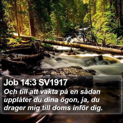 Job 14:3 SV1917 Bible Verse Image