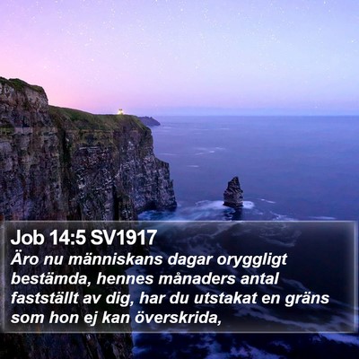 Job 14:5 SV1917 Bible Verse Image
