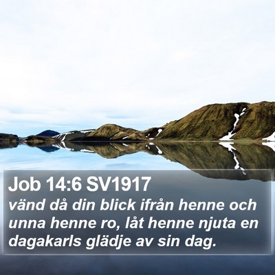 Job 14:6 SV1917 Bible Verse Image