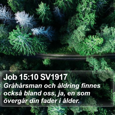 Job 15:10 SV1917 Bible Verse Image
