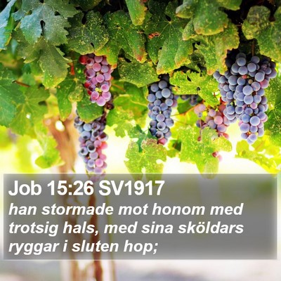 Job 15:26 SV1917 Bible Verse Image