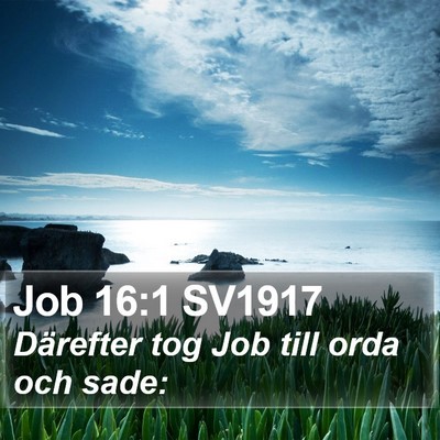 Job 16:1 SV1917 Bible Verse Image