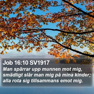 Job 16:10 SV1917 Bible Verse Image