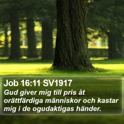 Job 16:11 SV1917 Bible Verse Image