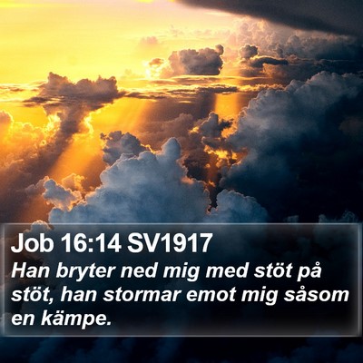 Job 16:14 SV1917 Bible Verse Image