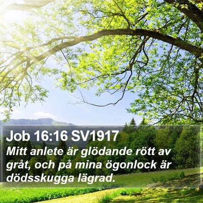 Job 16:16 SV1917 Bible Verse Image