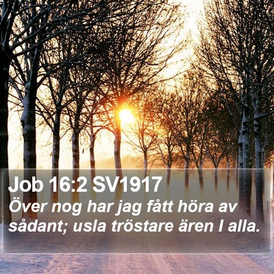 Job 16:2 SV1917 Bible Verse Image
