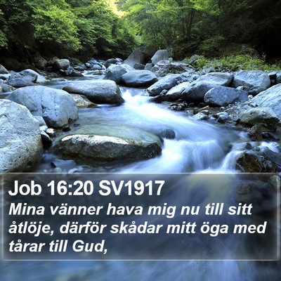 Job 16:20 SV1917 Bible Verse Image