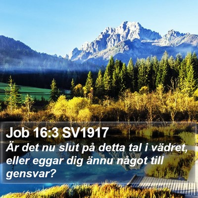 Job 16:3 SV1917 Bible Verse Image