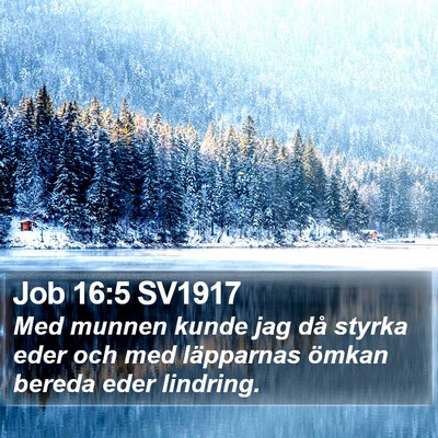 Job 16:5 SV1917 Bible Verse Image