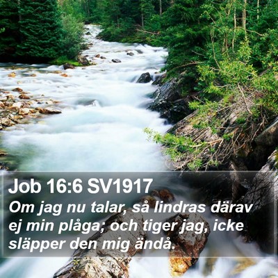 Job 16:6 SV1917 Bible Verse Image