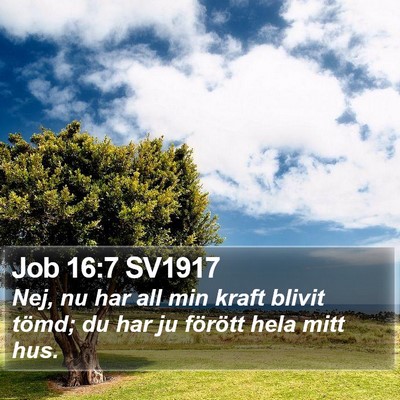 Job 16:7 SV1917 Bible Verse Image