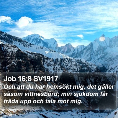 Job 16:8 SV1917 Bible Verse Image