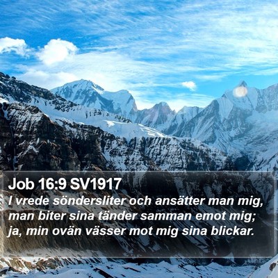 Job 16:9 SV1917 Bible Verse Image