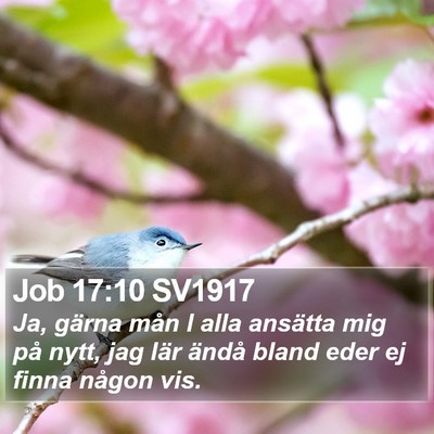 Job 17:10 SV1917 Bible Verse Image
